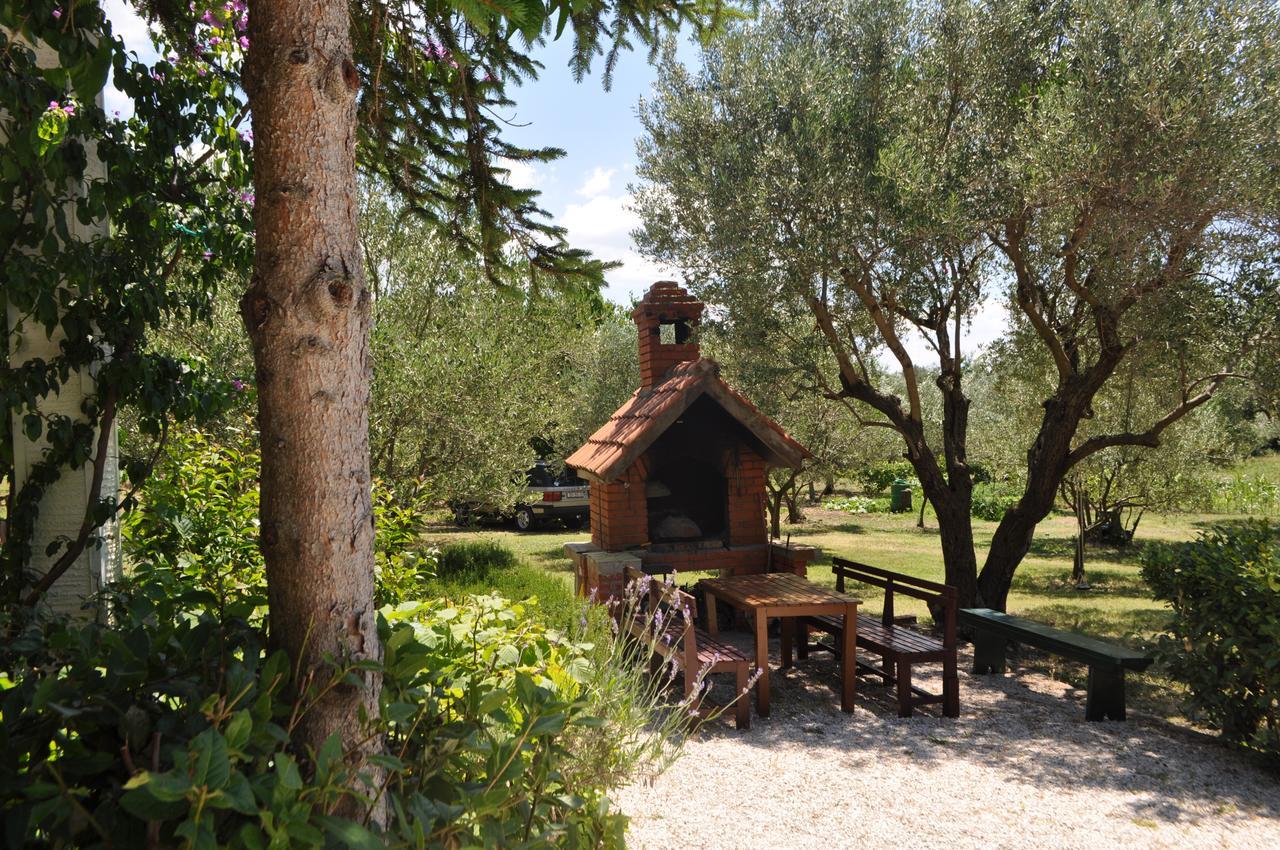 Dolac Guesthouse Kozino Exterior photo